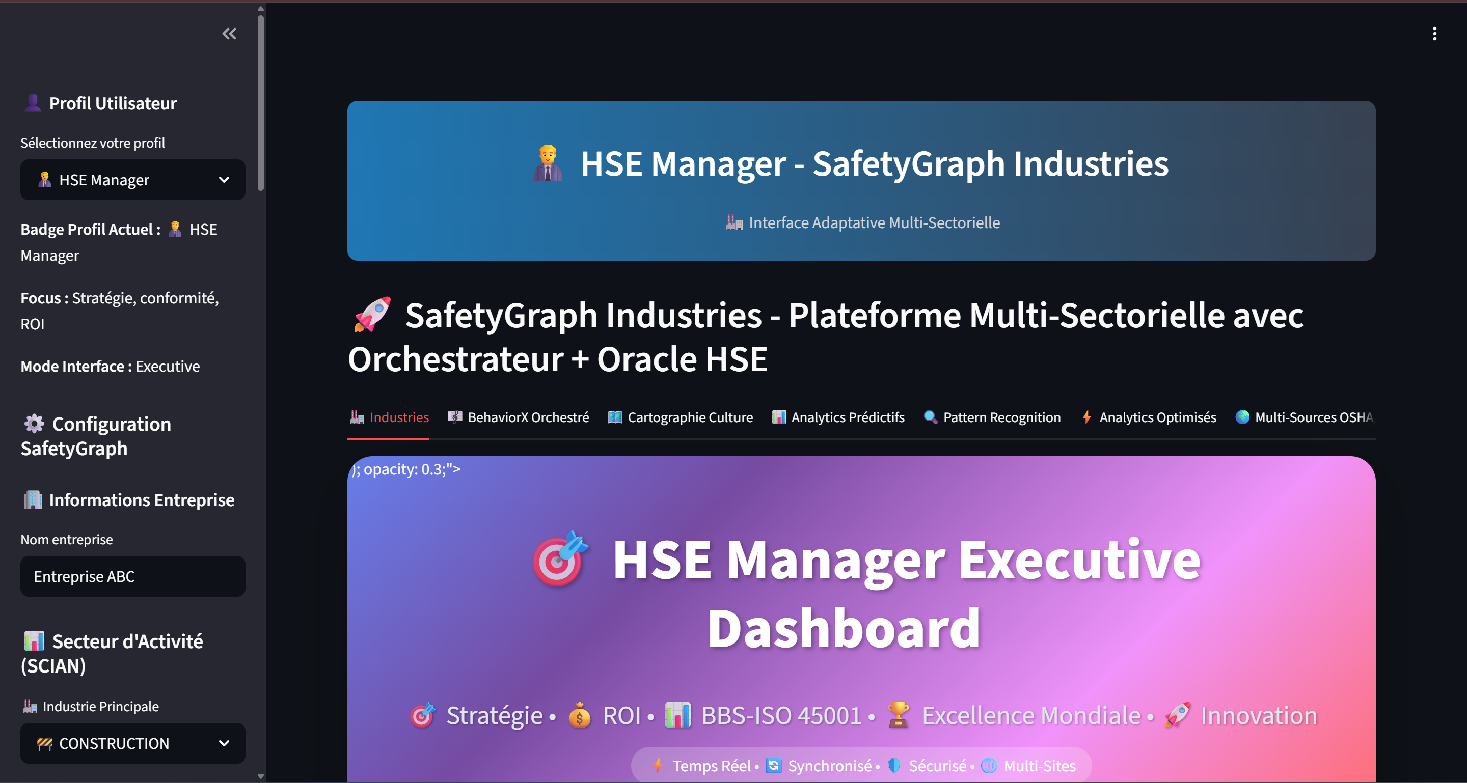 HSE Manager Executive Dashboard